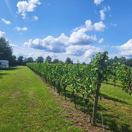 Wijndomein Erve Wisselink Eibergen