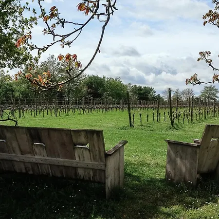 Wijndomein Erve Wisselink * Eibergen