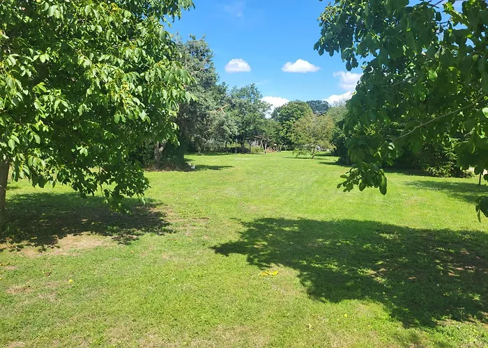 Wijndomein Erve Wisselink Kompleks wypoczynkowy Eibergen