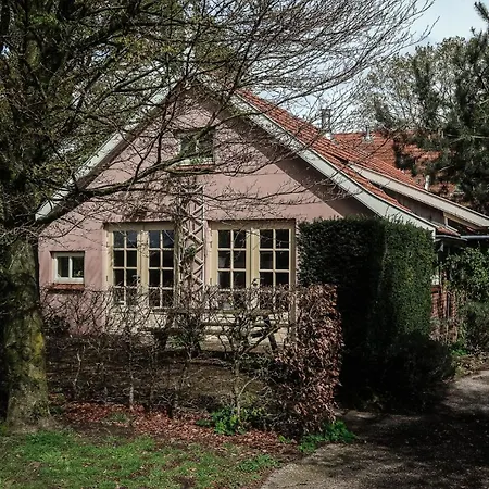 Wijndomein Erve Wisselink * Eibergen