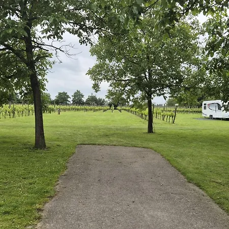 Wijndomein Erve Wisselink Eibergen