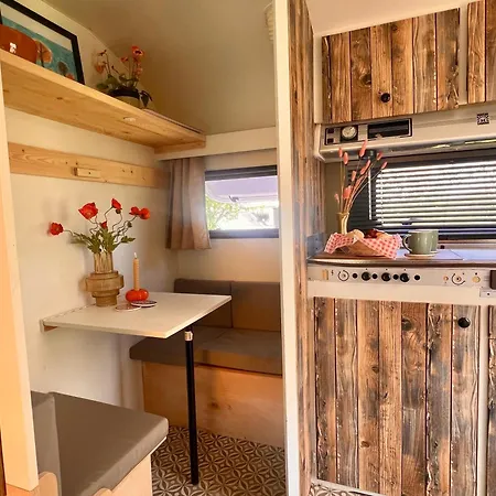 Wijndomein Erve Wisselink Tatil parkı Eibergen