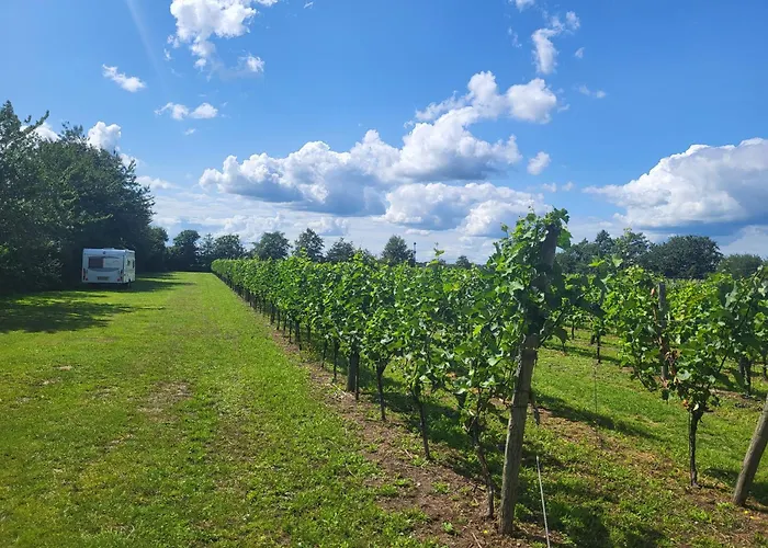 Wijndomein Erve Wisselink Eibergen