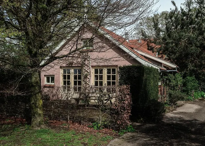 Wijndomein Erve Wisselink * Eibergen