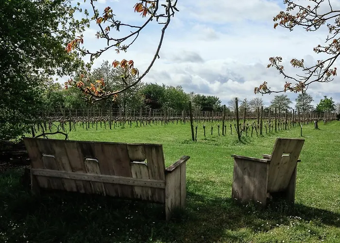 Wijndomein Erve Wisselink * Eibergen