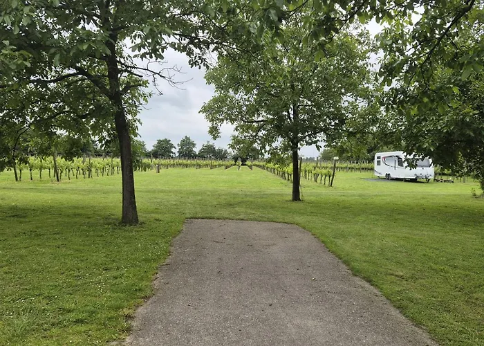 Wijndomein Erve Wisselink Eibergen